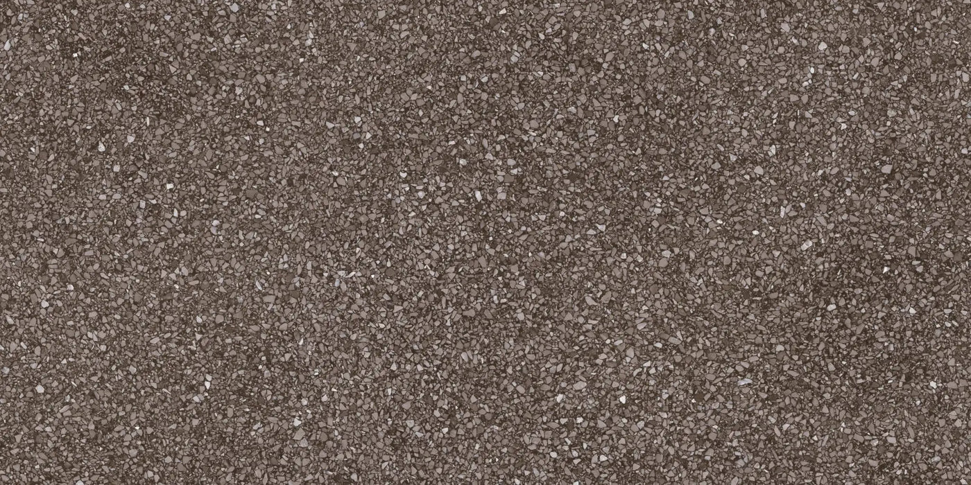 Agrob Buchtal Trio Terrazzo 24" x 48" Porcelain Tile