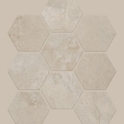 Shaw Floors Layered Earth CC Hex 11.02" x 12.6" Ceramic Mosaic