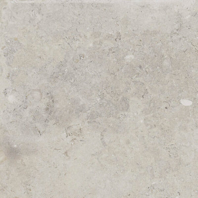 Happy Floors Coralina 24" x 24" Porcelain Paver