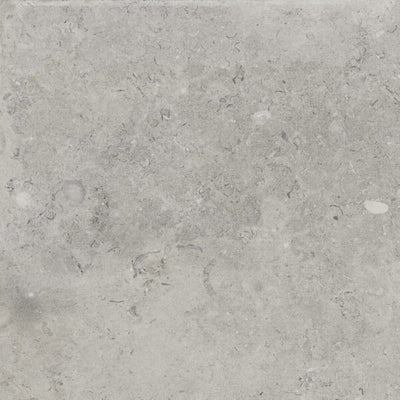 Happy Floors Coralina 24" x 24" Porcelain Paver