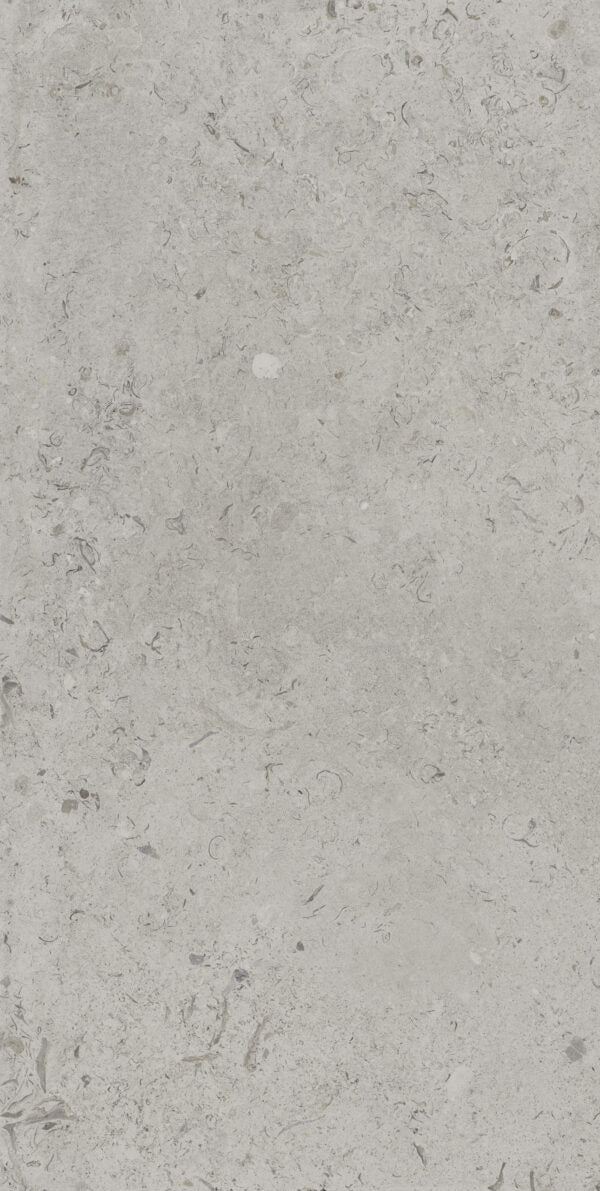 Happy Floors Coralina 24" x 48" Porcelain Tile