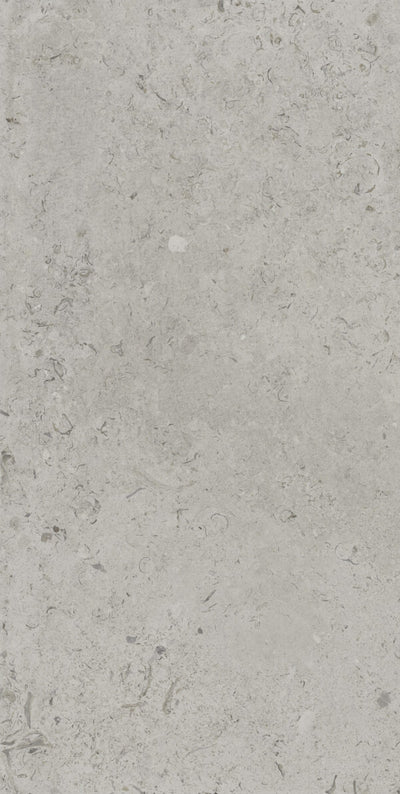 Happy Floors Coralina 24" x 48" Porcelain Tile