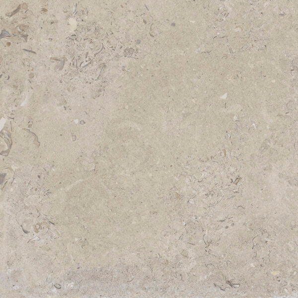 Happy Floors Coralina 24" x 24" Porcelain Paver