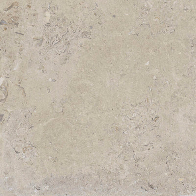 Happy Floors Coralina 24" x 24" Porcelain Tile