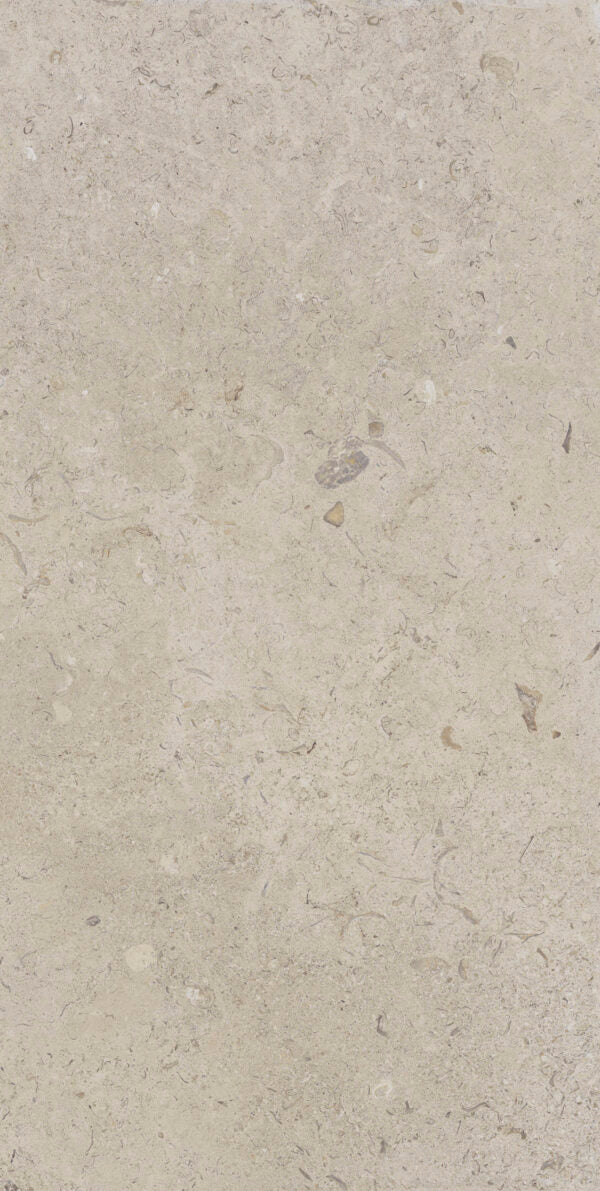 Happy Floors Coralina 24" x 48" Porcelain Tile