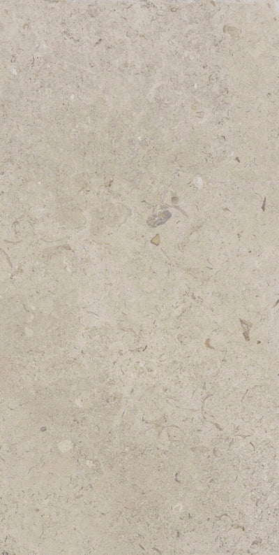 Happy Floors Coralina 24" x 48" Porcelain Tile