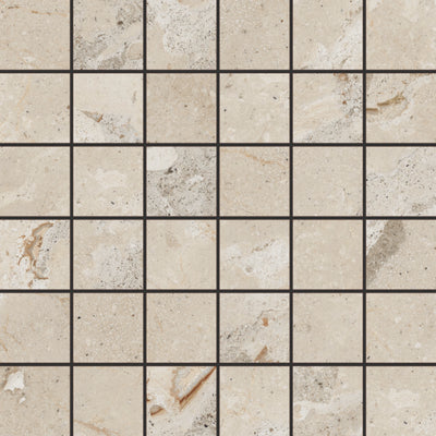 Happy Floors Eva 2 x 2 12" x 12" Porcelain Mosaic