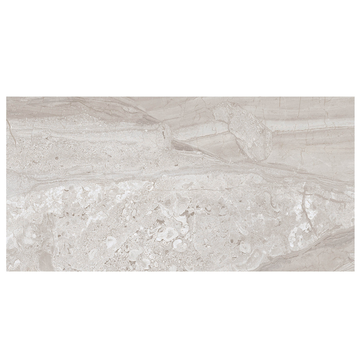 Anthology Marbleridge Reserve 12" x 24" Porcelain Tile