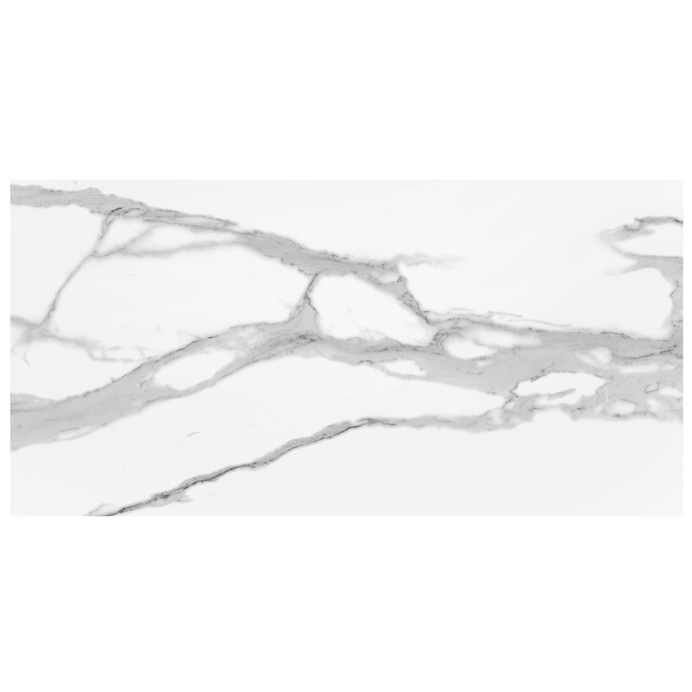 Anthology Marbleridge Reserve 24" x 48" Porcelain Tile