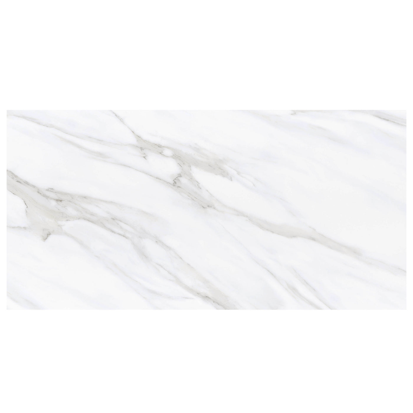 Anthology Marbleridge Reserve 24" x 48" Porcelain Tile