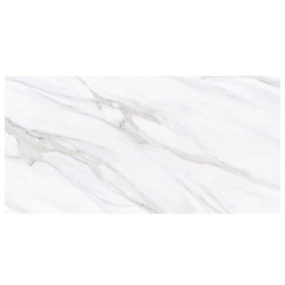 Anthology Marbleridge Reserve 24" x 48" Porcelain Tile