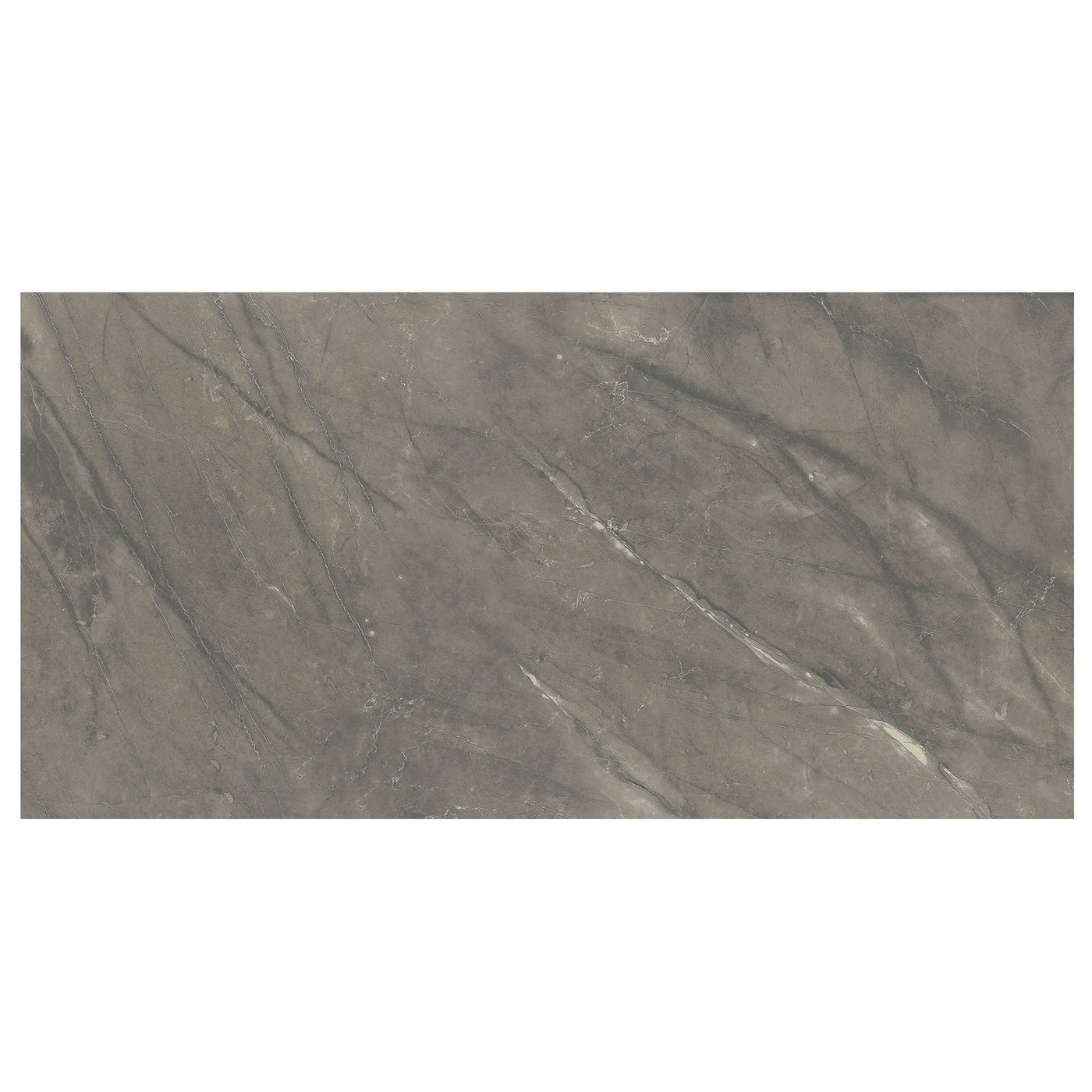 Anthology Marbleridge Reserve 12" x 24" Porcelain Tile