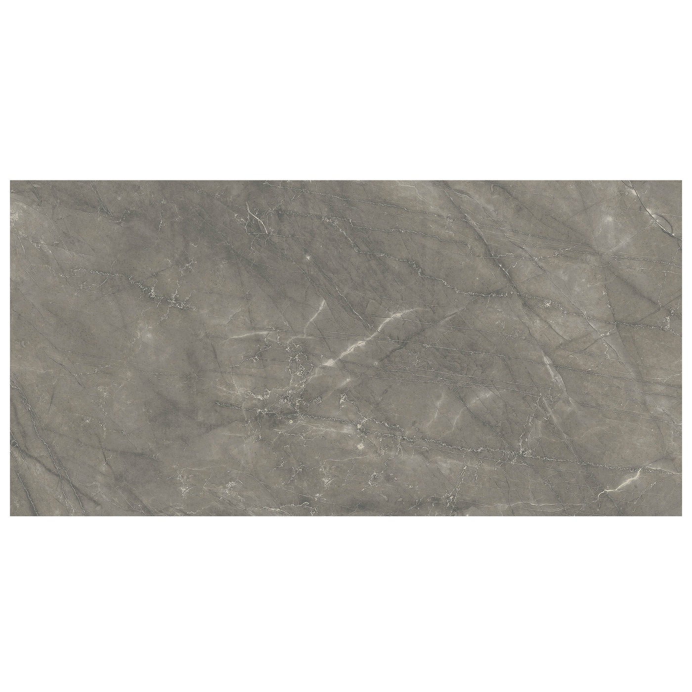 Anthology Marbleridge Reserve 12" x 24" Porcelain Tile