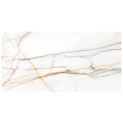 Anthology Marbleridge Reserve 24" x 48" Porcelain Tile