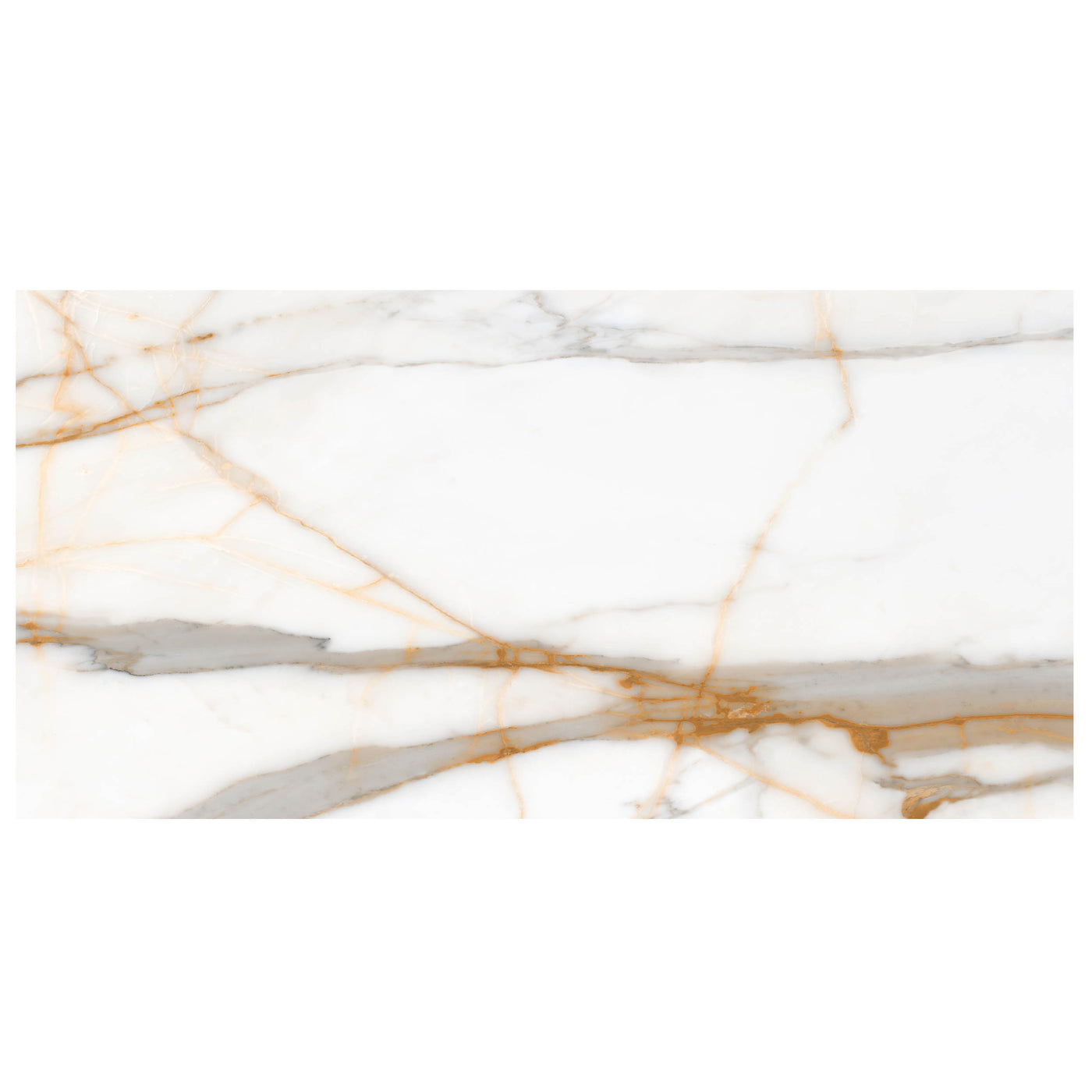 Anthology Marbleridge Reserve 24" x 48" Porcelain Tile