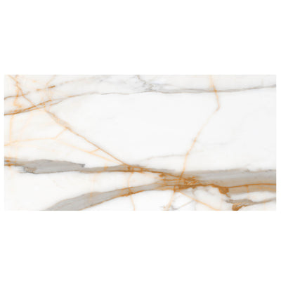 Anthology Marbleridge Reserve 24" x 48" Porcelain Tile