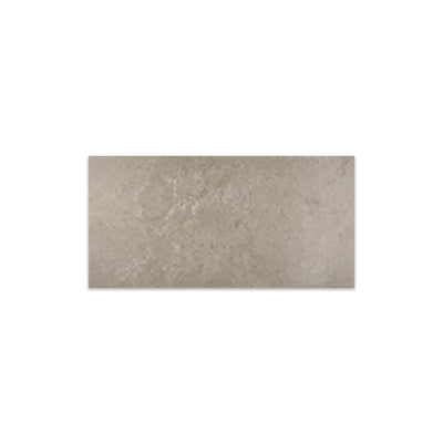 Daltile Advantage 12" x 24" Ceramic Tile