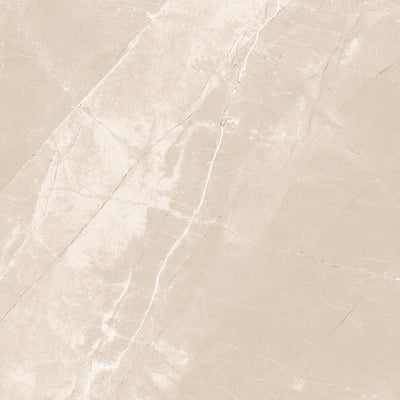 Tesoro Classic Marbles 24" x 24" Porcelain Tile