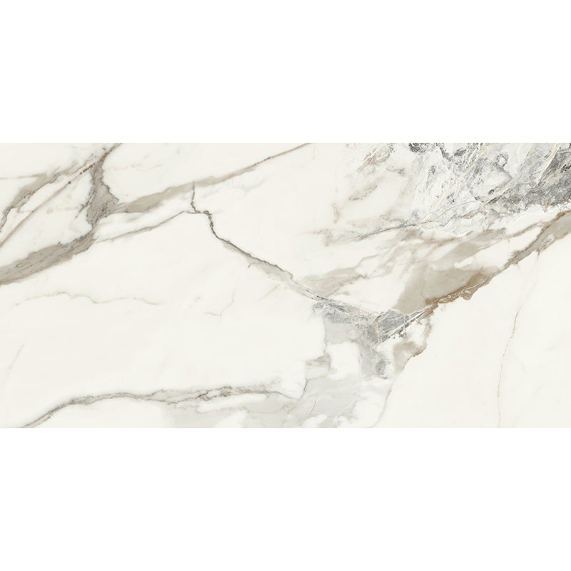 MIR Mosaic Athabasca 24" x 48" Porcelain Tile