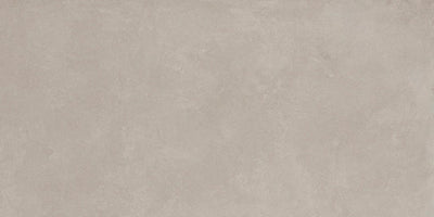 Emser Agio 10MM 24" x 47" Porcelain Tile