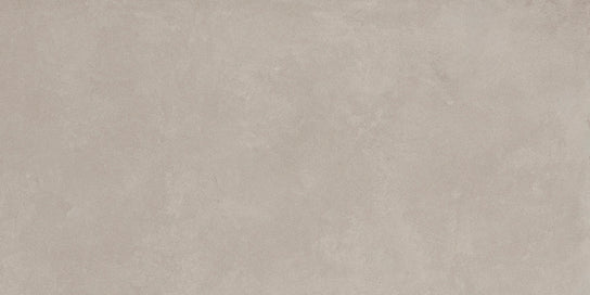 Emser Agio 24" x 47" Porcelain Tile