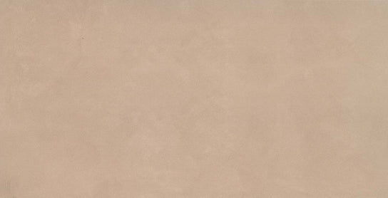 Emser Agio 10MM 24" x 47" Porcelain Tile