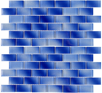 Tesoro Aquatica Alpha 1 x 2 12" x 12" Glass Mosaic