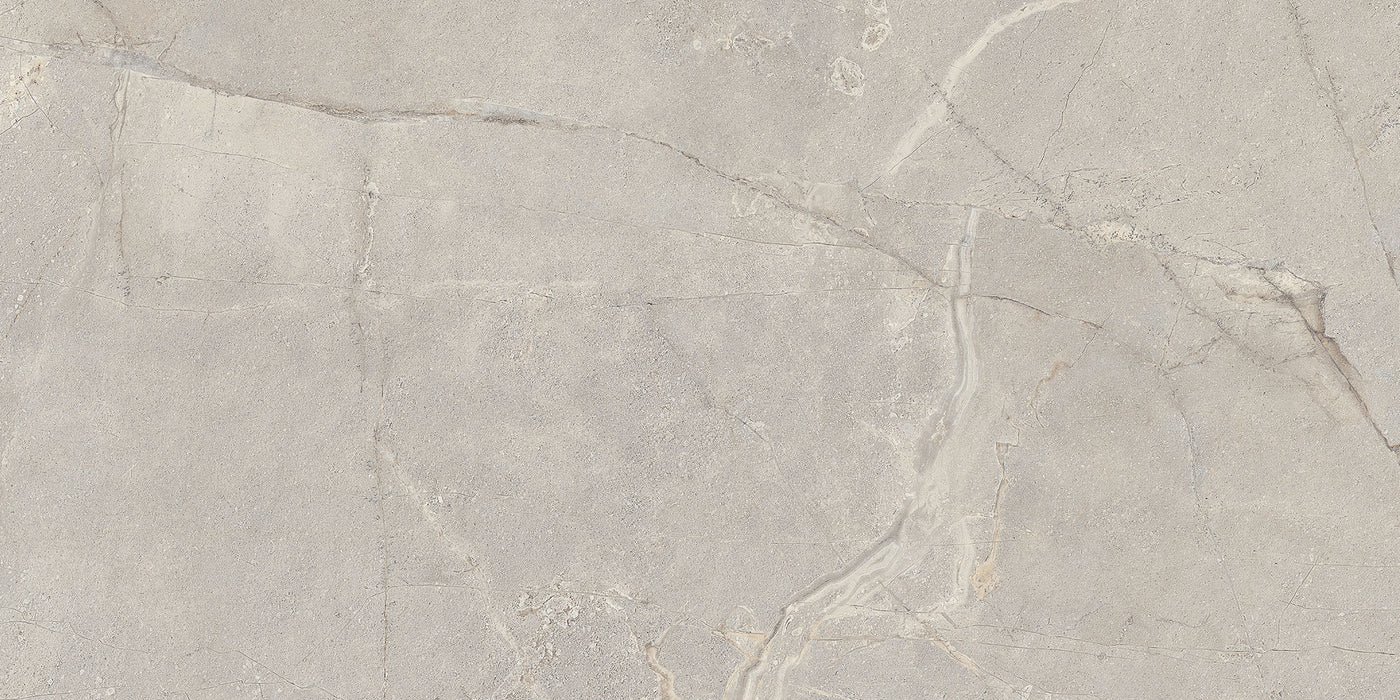 QDI Surfaces Alstein 12" x 24" Porcelain Tile