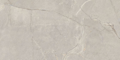 QDI Surfaces Alstein 12" x 24" Porcelain Tile