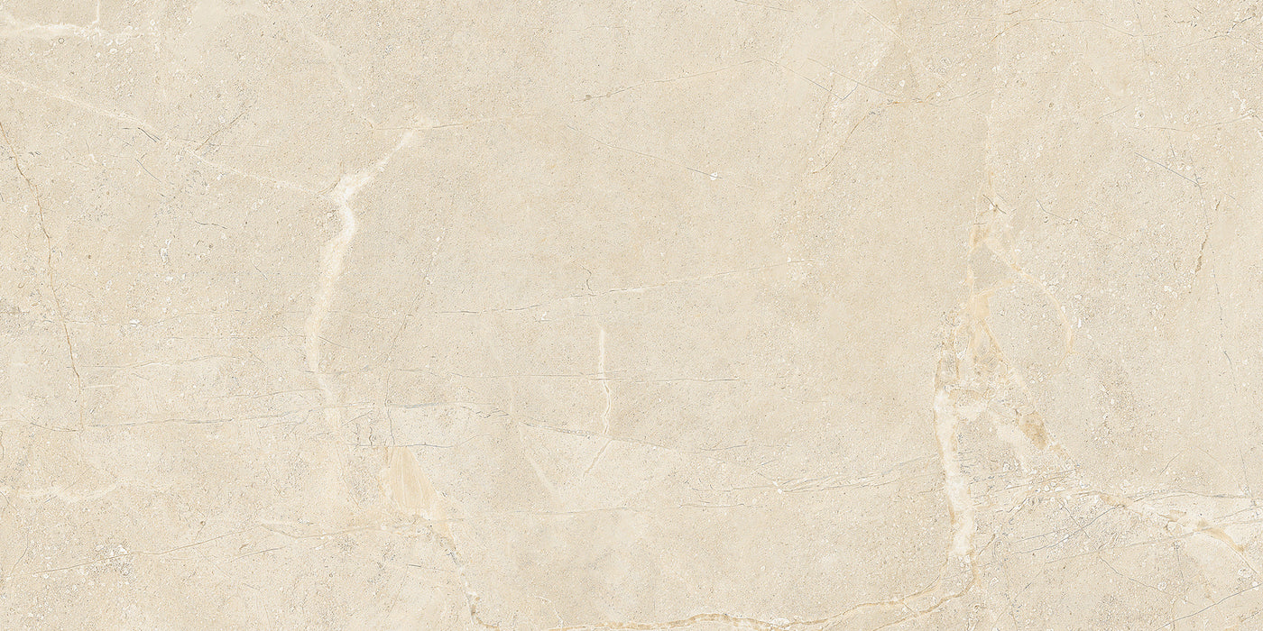 QDI Surfaces Alstein 12" x 24" Porcelain Tile