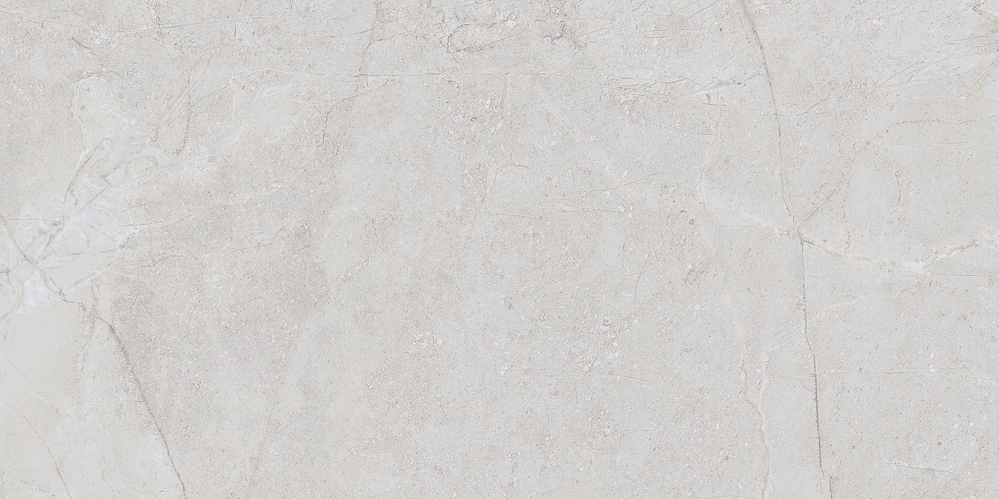 QDI Surfaces Alstein 12" x 24" Porcelain Tile