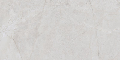 QDI Surfaces Alstein 12" x 24" Porcelain Tile