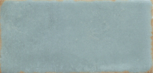 Emser Antigo 2" x 5" Ceramic Tile