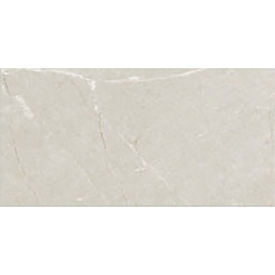 Tesoro Torino 20" x 20" Porcelain Tile