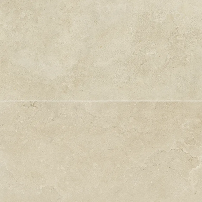 Arizona Tile Borgo Anti-Slip 24" x 48" Porcelain Tile