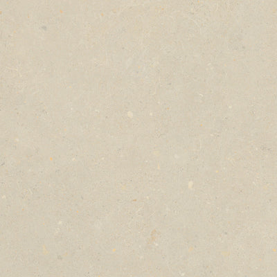 Ottimo Ceramics Breeze 12" x 24" Porcelain Tile