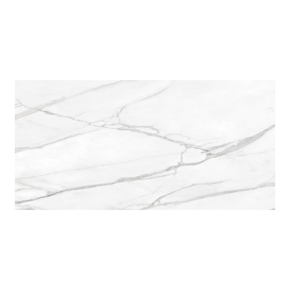 CommodiTile Classics II 24" x 48" Porcelain Tile