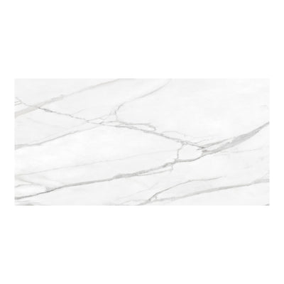 CommodiTile Classics II 24" x 48" Porcelain Tile