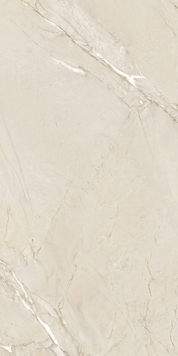 Happy Floors Cardosia 24" x 48" Porcelain Tile