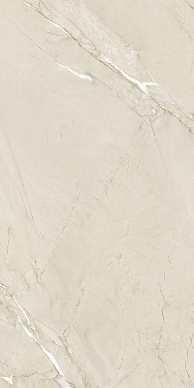 Happy Floors Cardosia 24" x 48" Porcelain Tile