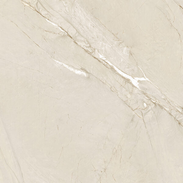 Happy Floors Cardosia 24" x 24" Porcelain Tile