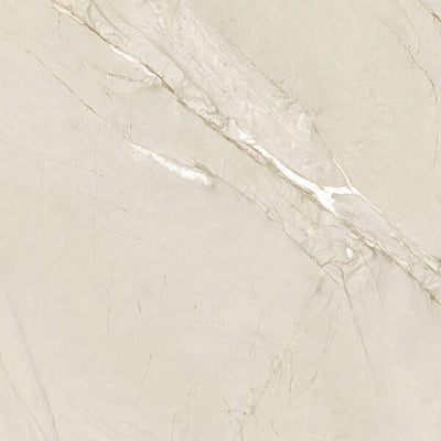 Happy Floors Cardosia 24" x 24" Porcelain Tile