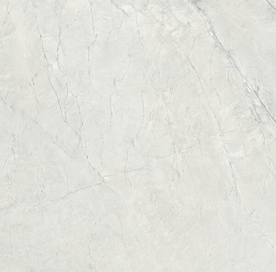 Happy Floors Cardosia 24" x 24" Porcelain Tile