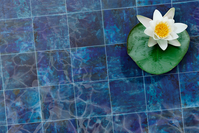 QDI Surfaces Coral 6" x 6" Porcelain Tile Green
