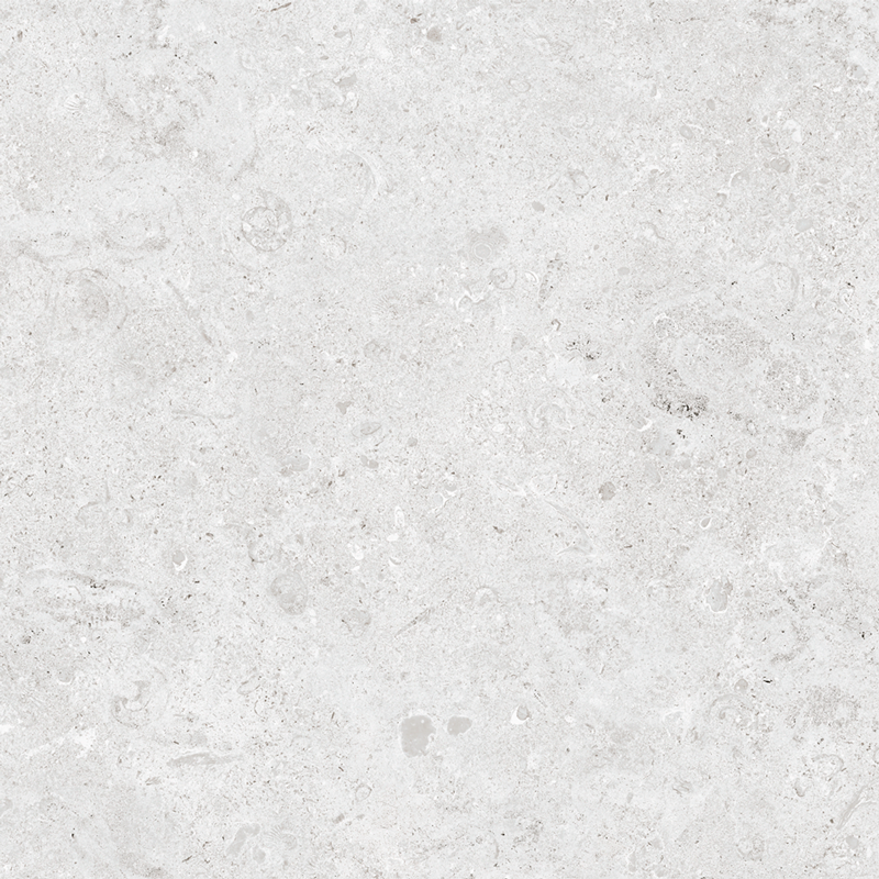 QDI Surfaces Coralstone 24" x 48" Porcelain Tile