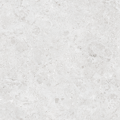 QDI Surfaces Coralstone 24" x 48" Porcelain Tile