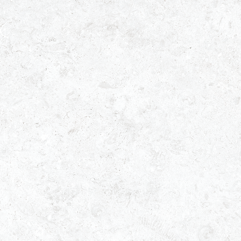 QDI Surfaces Coralstone 24" x 48" Porcelain Tile