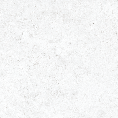 QDI Surfaces Coralstone 24" x 48" Porcelain Tile