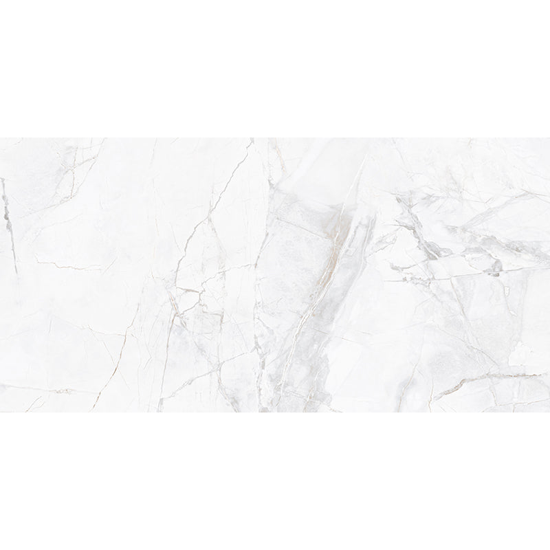 MIR Mosaic Cosmopiltan 24" x 48" Porcelain Tile