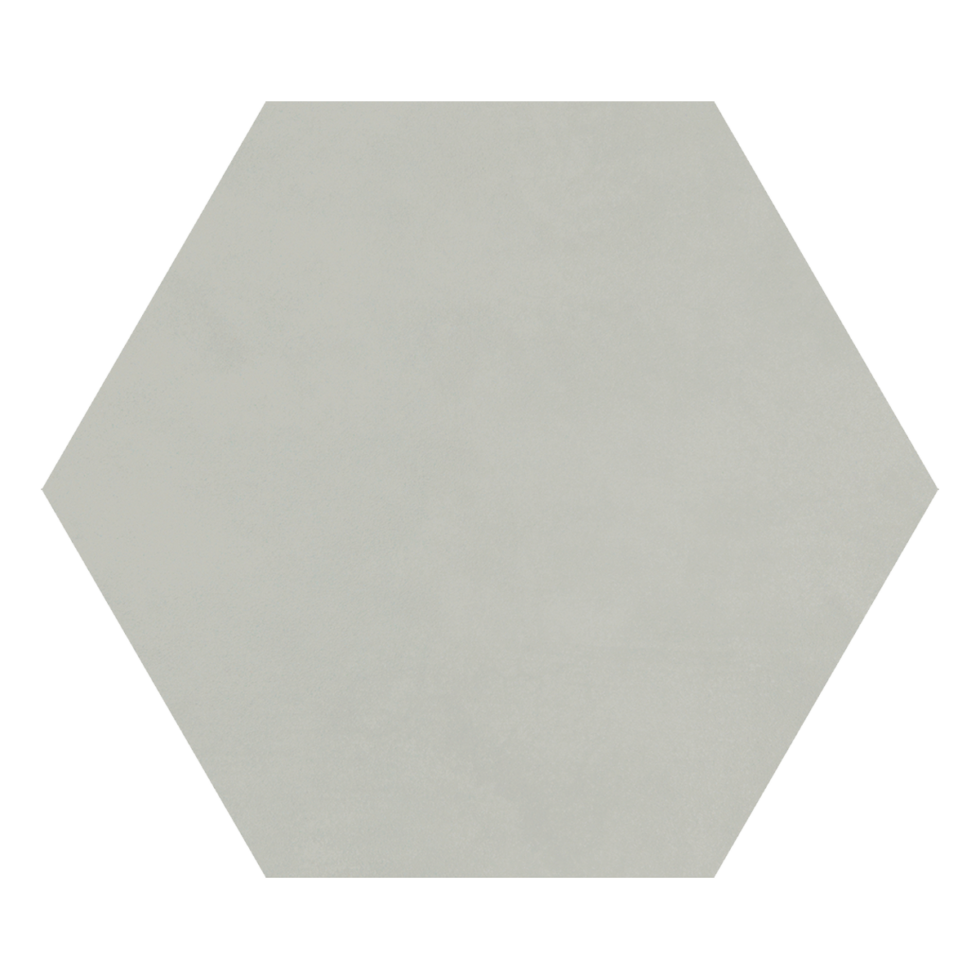 Lungarno Carrollton Hex 9" x 10" Porcelain Tile